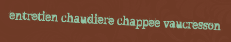 Entretien chaudiere Chappee Vaucresson
